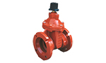 Model FGMN 939 Mechanical Joint Ends Resilient Wedge Gate Valve