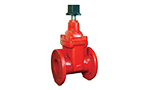 Model FGN 909 Non Rising Stem Flanged Joint Ends Resilient Wedge Gate Valve